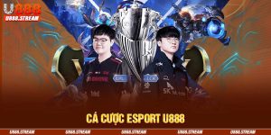 cá cược Esport U888