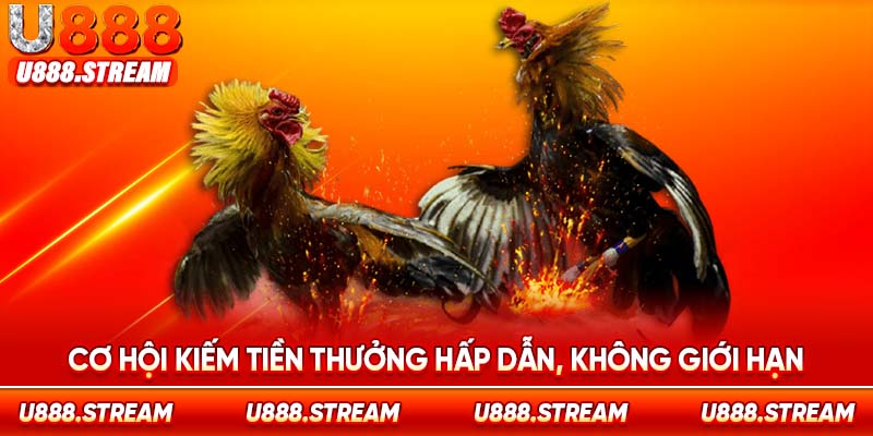 Mức thưởng hậu hĩnh khi chơi đá gà Thomo U888