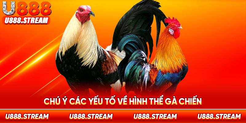 Chú ý chọn chiến kê đáp ứng đầy đủ các tiêu chí về ngoại hình