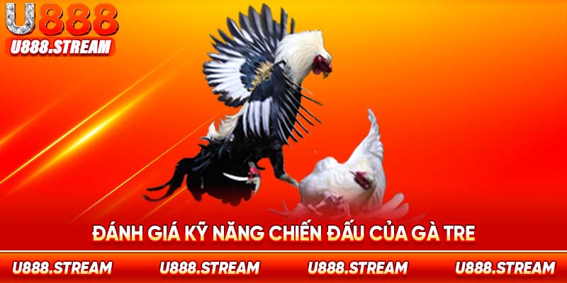 Kỹ năng cược thắng trong các trận đấu gà tre U888