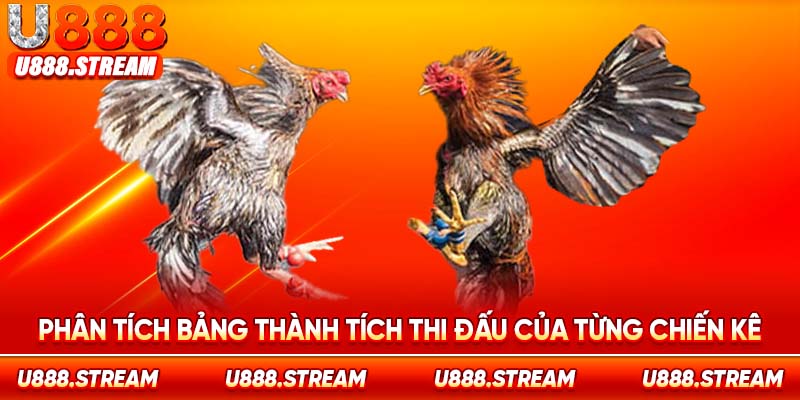 Chú ý chọn chiến kê đang sở hữu 1-3 trận thắng gần nhất