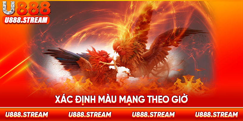 Chọn màu mạng gà đá theo giờ giúp tăng tỷ lệ thắng